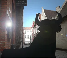 Stiersilhouet naast een bakstenen gevel in een zonnige doorgang